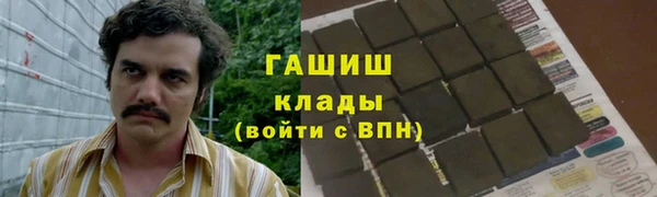 мдпв Каменка