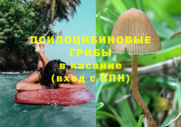 прущая мука Абаза