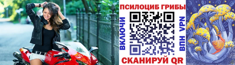 кракен как зайти  Мещовск  Псилоцибиновые грибы ЛСД 